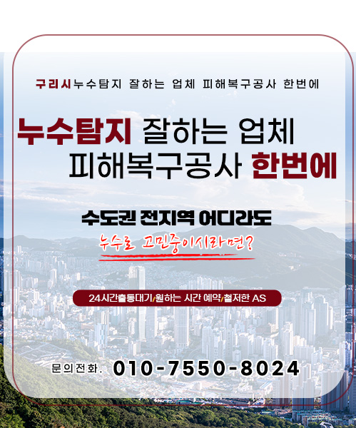 누수탐지 잘하는 업체 피해복구공사 한번에 모바일 비주얼 0